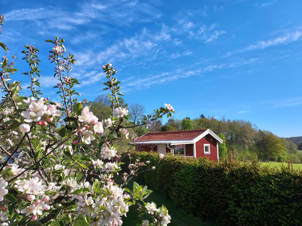 Aelgbergets Bed & Breakfast Ucklum Bagian luar foto