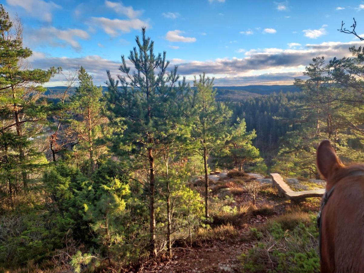 Aelgbergets Bed & Breakfast Ucklum Bagian luar foto