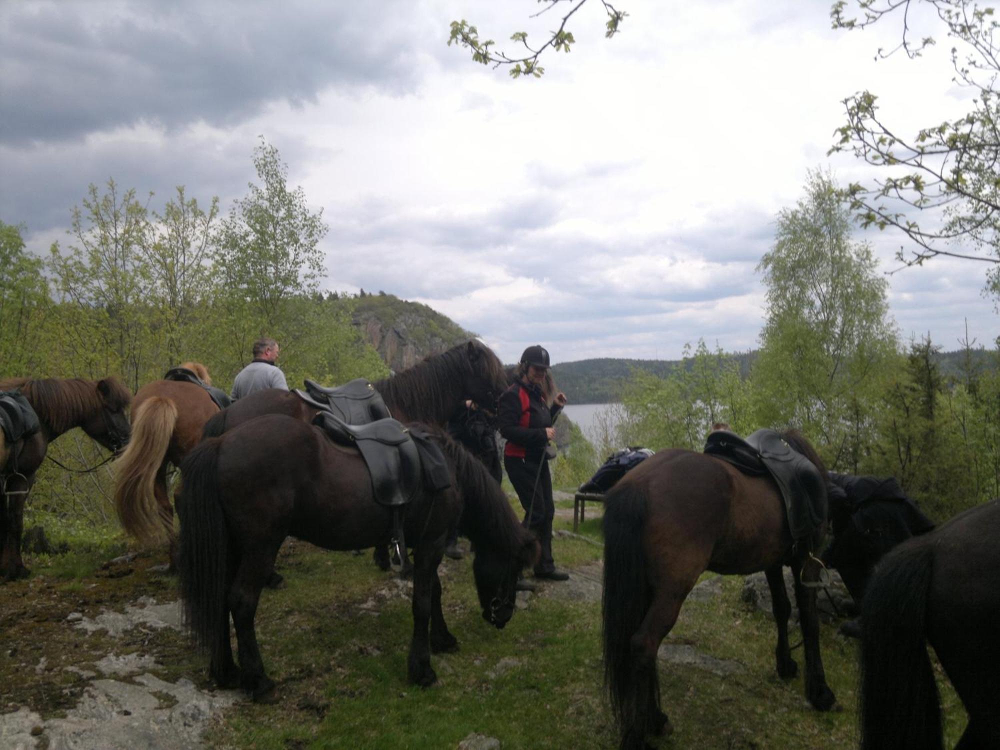 Aelgbergets Bed & Breakfast Ucklum Bagian luar foto